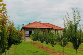 Villa Sladjana